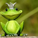Groen kikker met kroontje